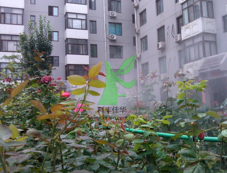 噴霧造景體系